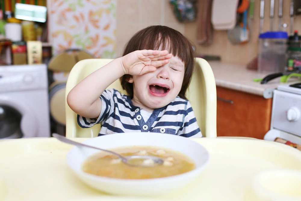 5 Penyebab Anak Rewel Ketika Disuruh Makan dan Cara Mengatasinya