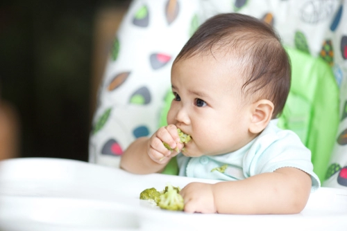 15 Pilihan Finger Food untuk Bayi