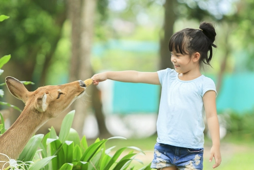 Tips Asah Kecerdasan Emosi Anak Penting untuk Masa Depannya