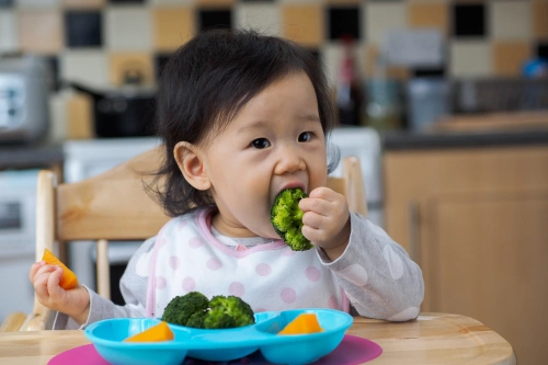 8 Makanan Sumber Kalsium untuk Bayi