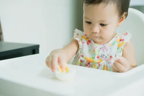 Protein Hewani untuk MPASI: 20 Pilihan + Tips