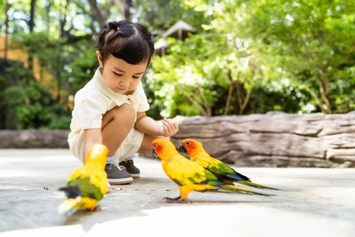 8 Kegiatan Seru untuk Isi Waktu Luang Anak